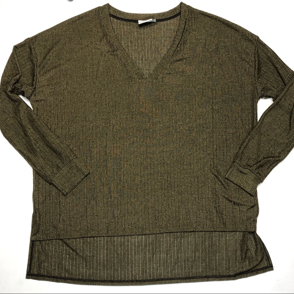 Shimmery Hi-Lo long sleeve top. NWT